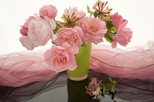 Pink roses in vase