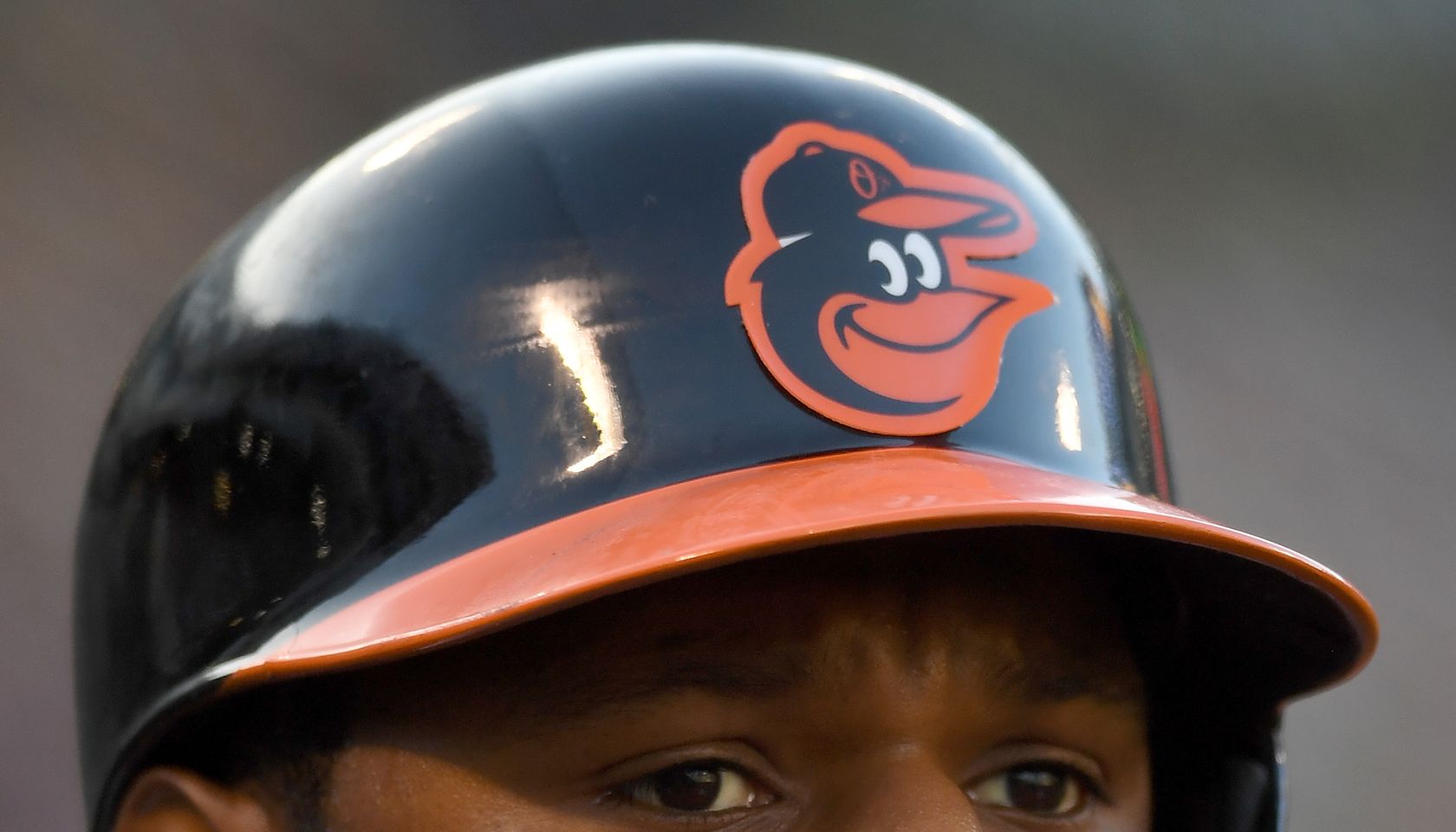 Adam Jones - Thearon W. Henderson Contributor - Getty Images 588456216