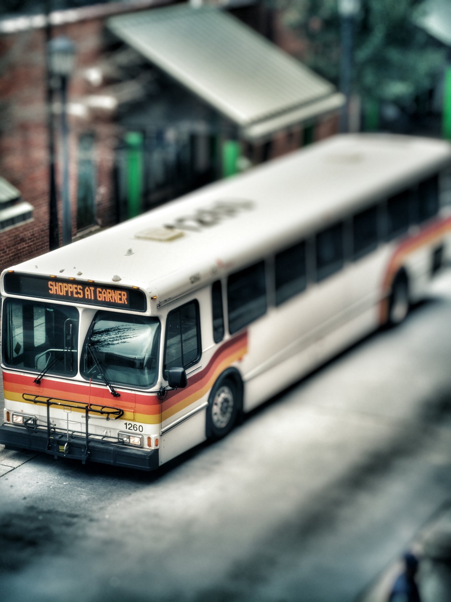 Bus On City Street