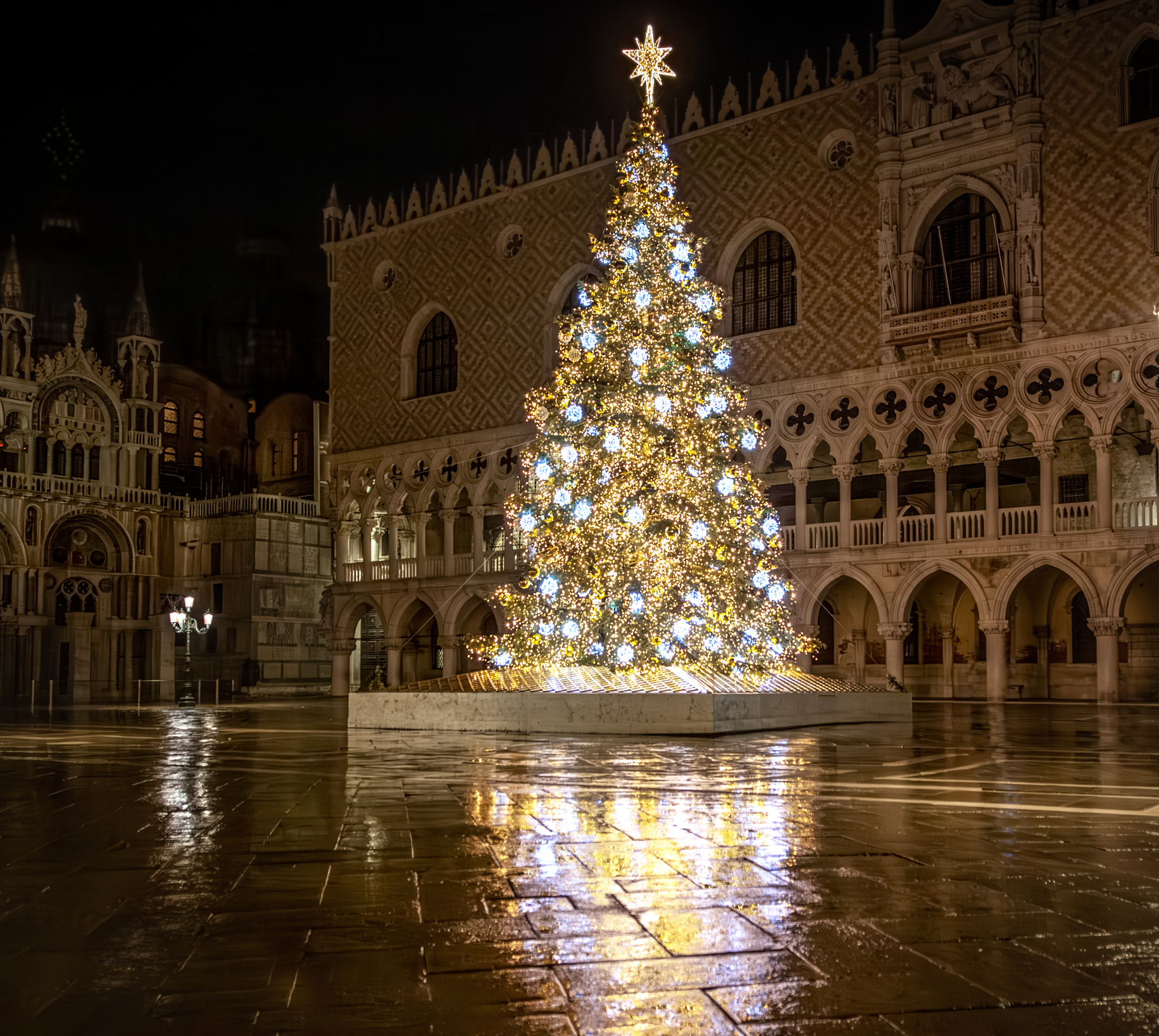 Christmas tree at San Marco square in Venice